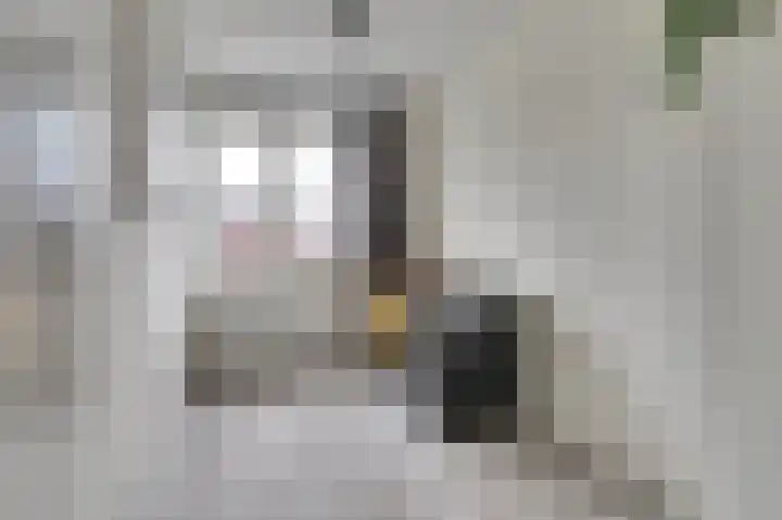 De Vriendschap 8 Zeewolde thumbnail 24