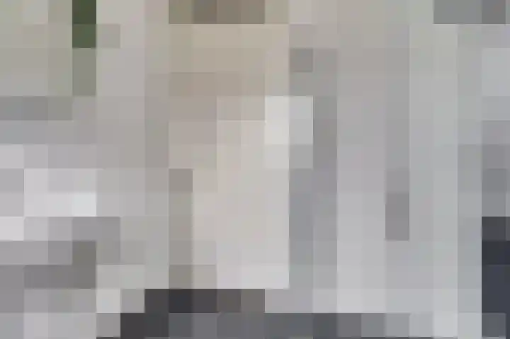 De Vriendschap 8 Zeewolde thumbnail 26