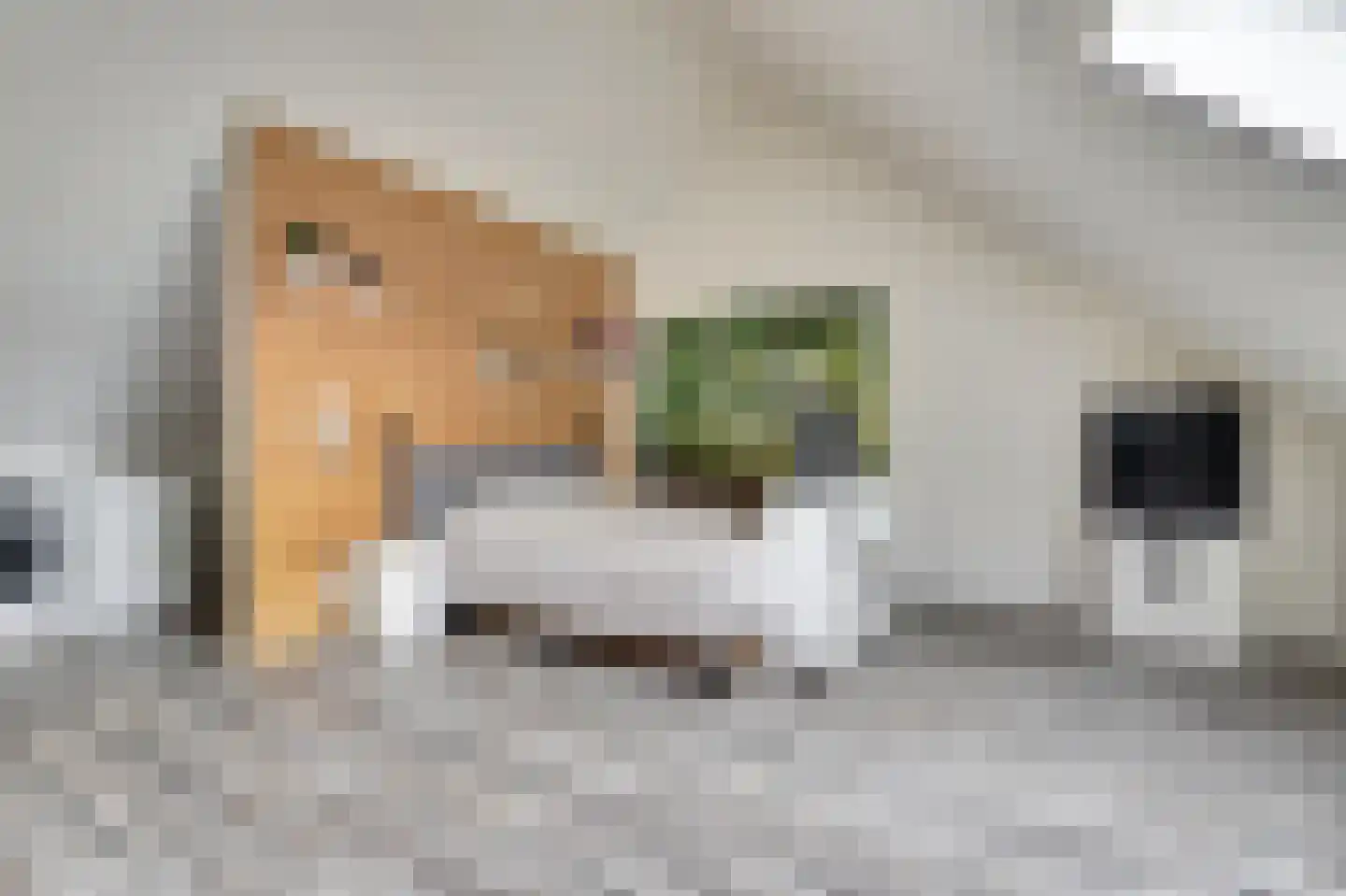 De Vriendschap 8 Zeewolde thumbnail 29