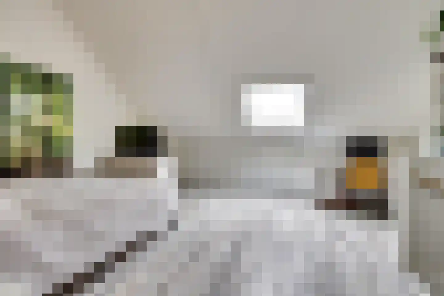 De Vriendschap 8 Zeewolde thumbnail 30