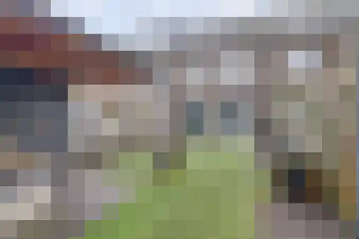 De Vriendschap 8 Zeewolde thumbnail 33