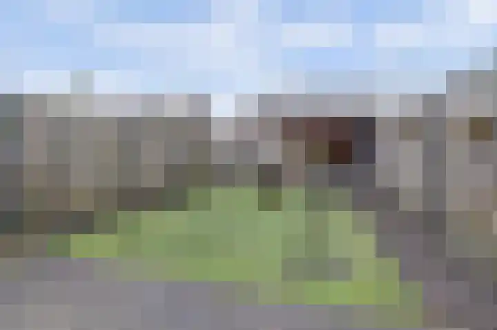 De Vriendschap 8 Zeewolde thumbnail 34