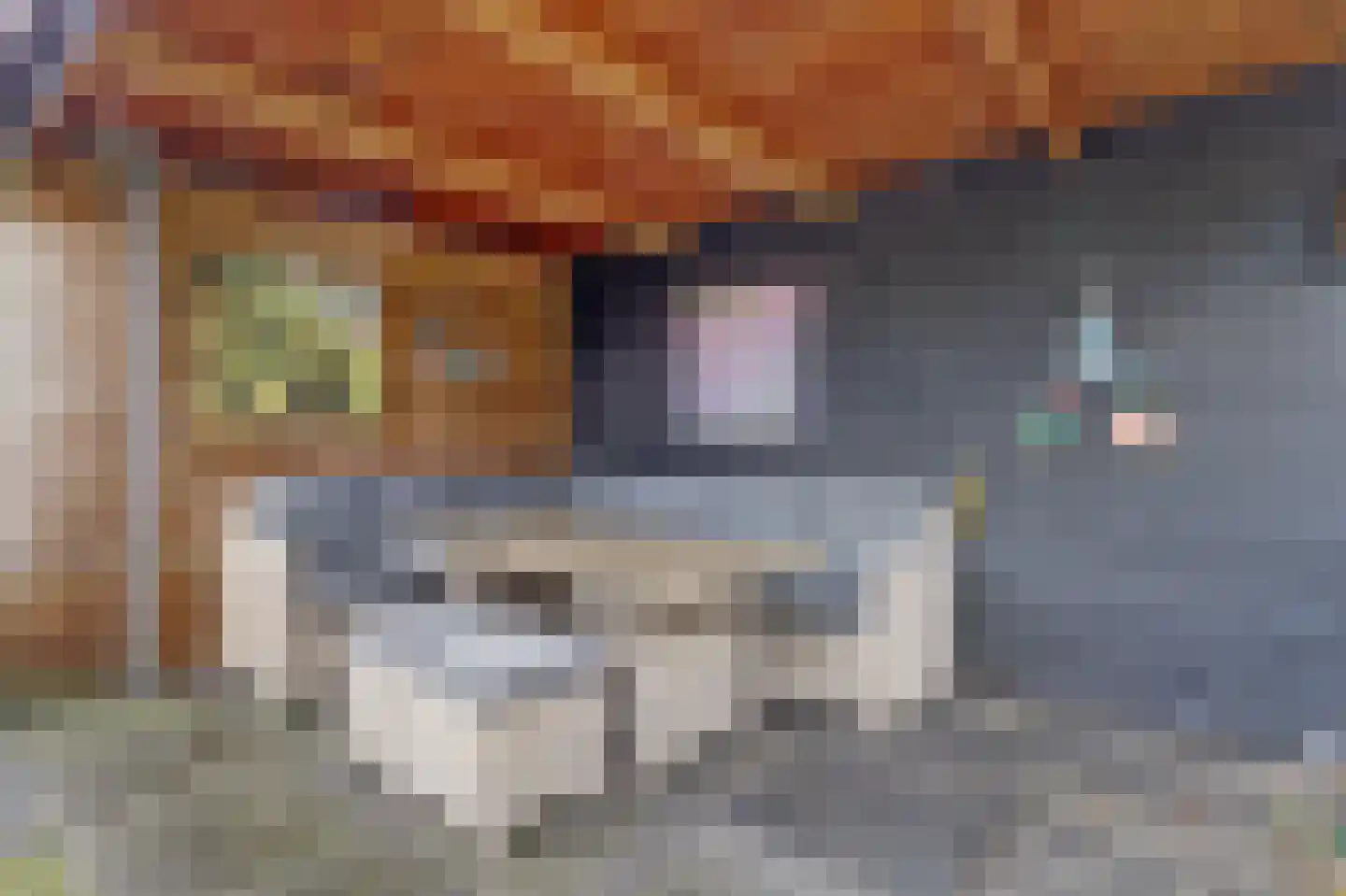 De Vriendschap 8 Zeewolde thumbnail 36