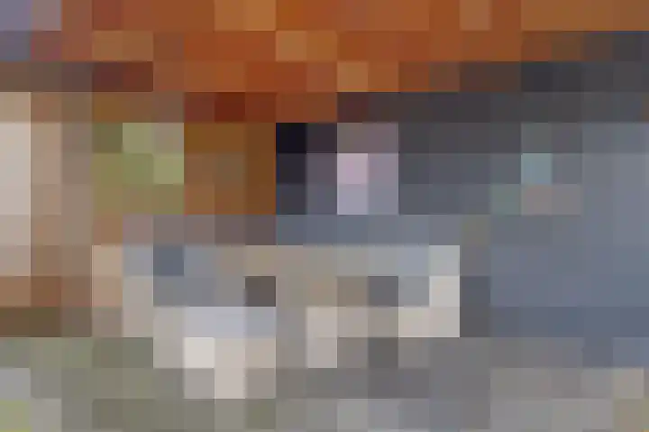 De Vriendschap 8 Zeewolde thumbnail 36