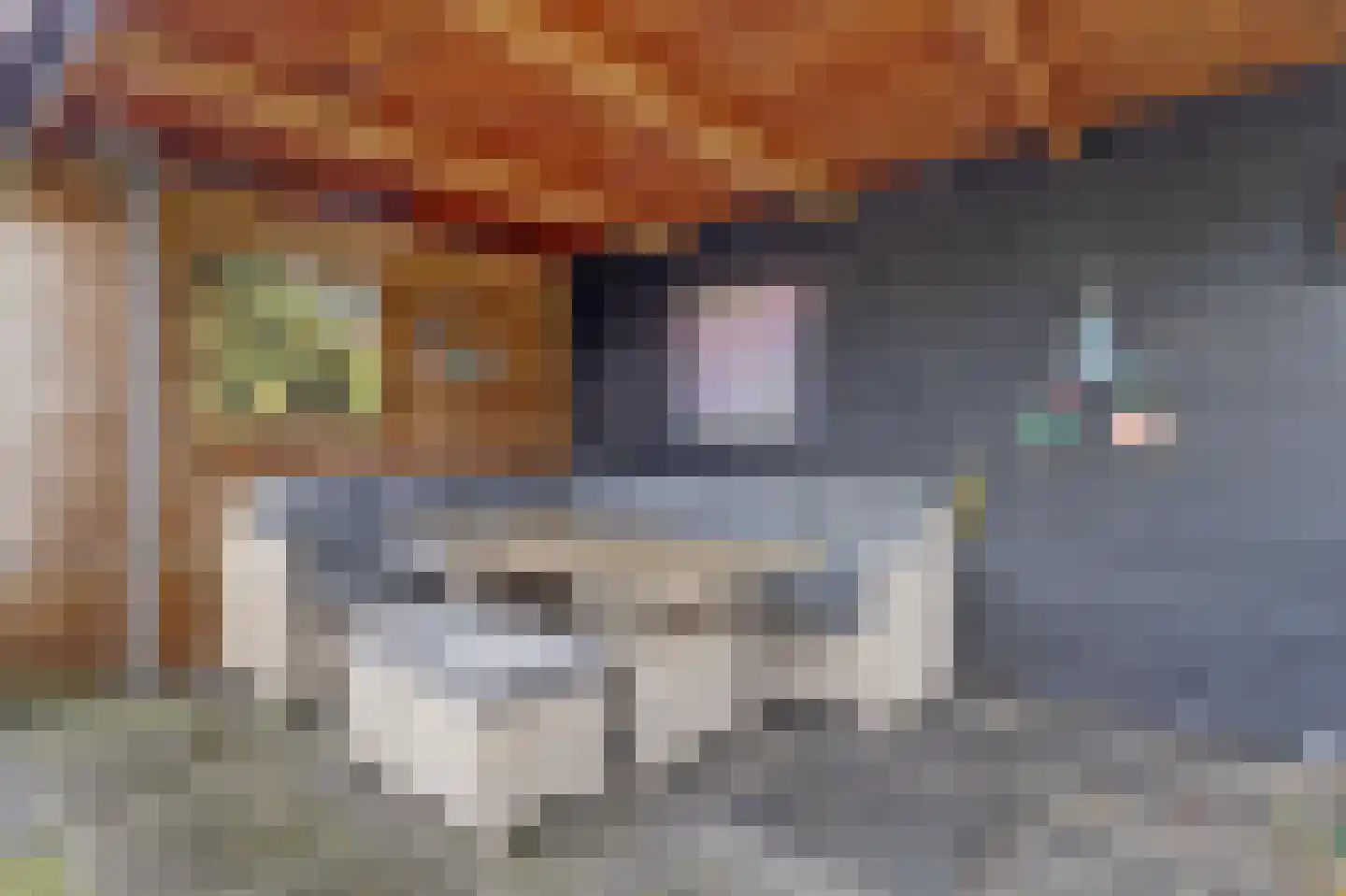 De Vriendschap 8 Zeewolde thumbnail 5