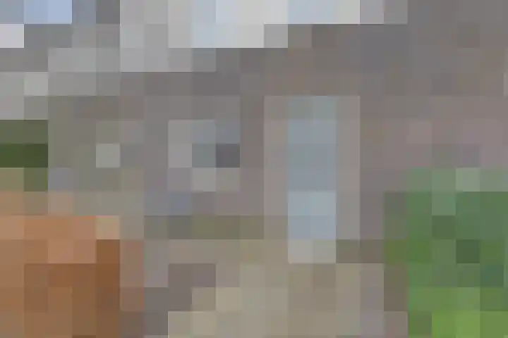 De Vriendschap 8 Zeewolde thumbnail 6
