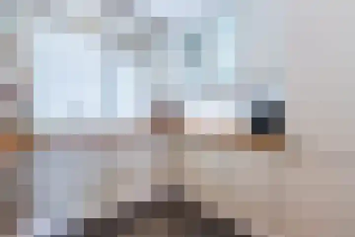 De Vriendschap 9 Amstelveen thumbnail 20