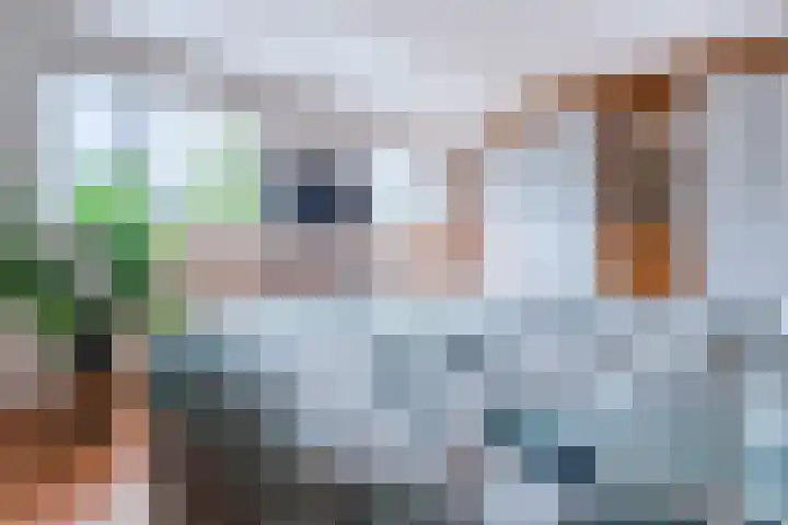 De Vriendschap 9 Amstelveen thumbnail 29