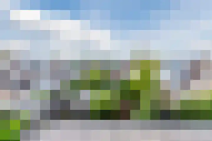 De Vriendschap 9 Amstelveen thumbnail 38