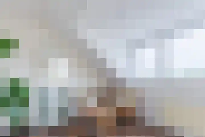 De Vriendschap 9 Amstelveen thumbnail 39