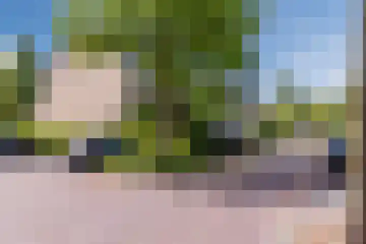 De Vriendschap 9 Amstelveen thumbnail 48