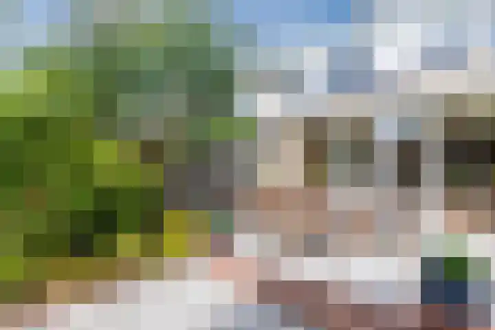 De Vriendschap 9 Amstelveen thumbnail 5