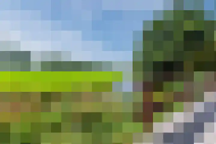 De Vriendschap 9 Amstelveen thumbnail 50