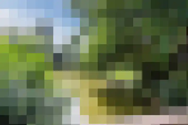 De Vriendschap 9 Amstelveen thumbnail 51