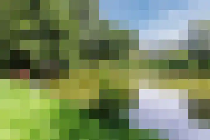 De Vriendschap 9 Amstelveen thumbnail 52