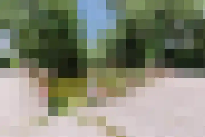 De Vriendschap 9 Amstelveen thumbnail 53