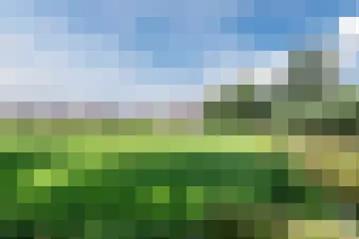 De Vriendschap 9 Amstelveen thumbnail 54