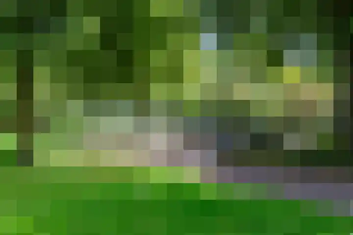 De Vriendschap 9 Amstelveen thumbnail 57