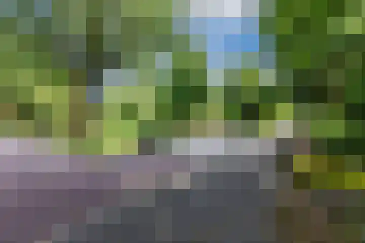 De Vriendschap 9 Amstelveen thumbnail 58