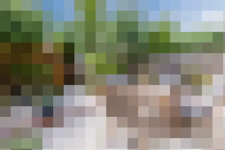 De Vriendschap 9 Amstelveen thumbnail 6