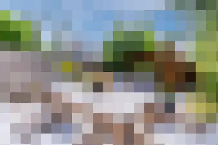 De Vriendschap 9 Amstelveen thumbnail 7