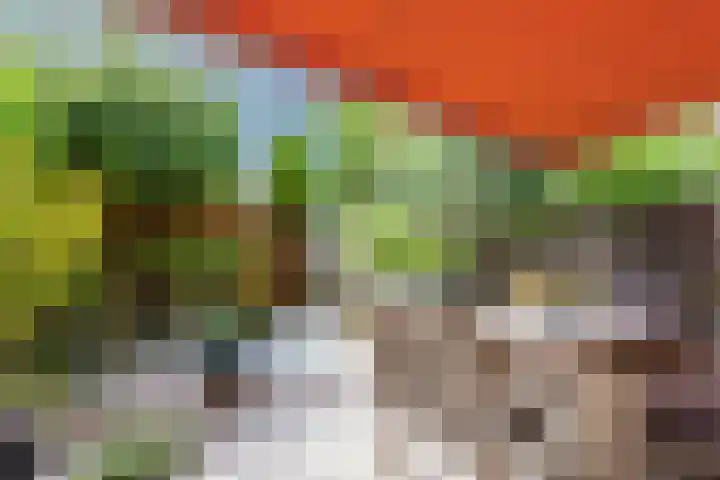 De Vriendschap 9 Amstelveen thumbnail 8