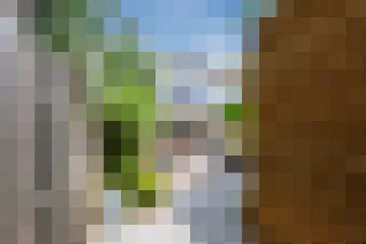 De Vriendschap 9 Amstelveen thumbnail 9