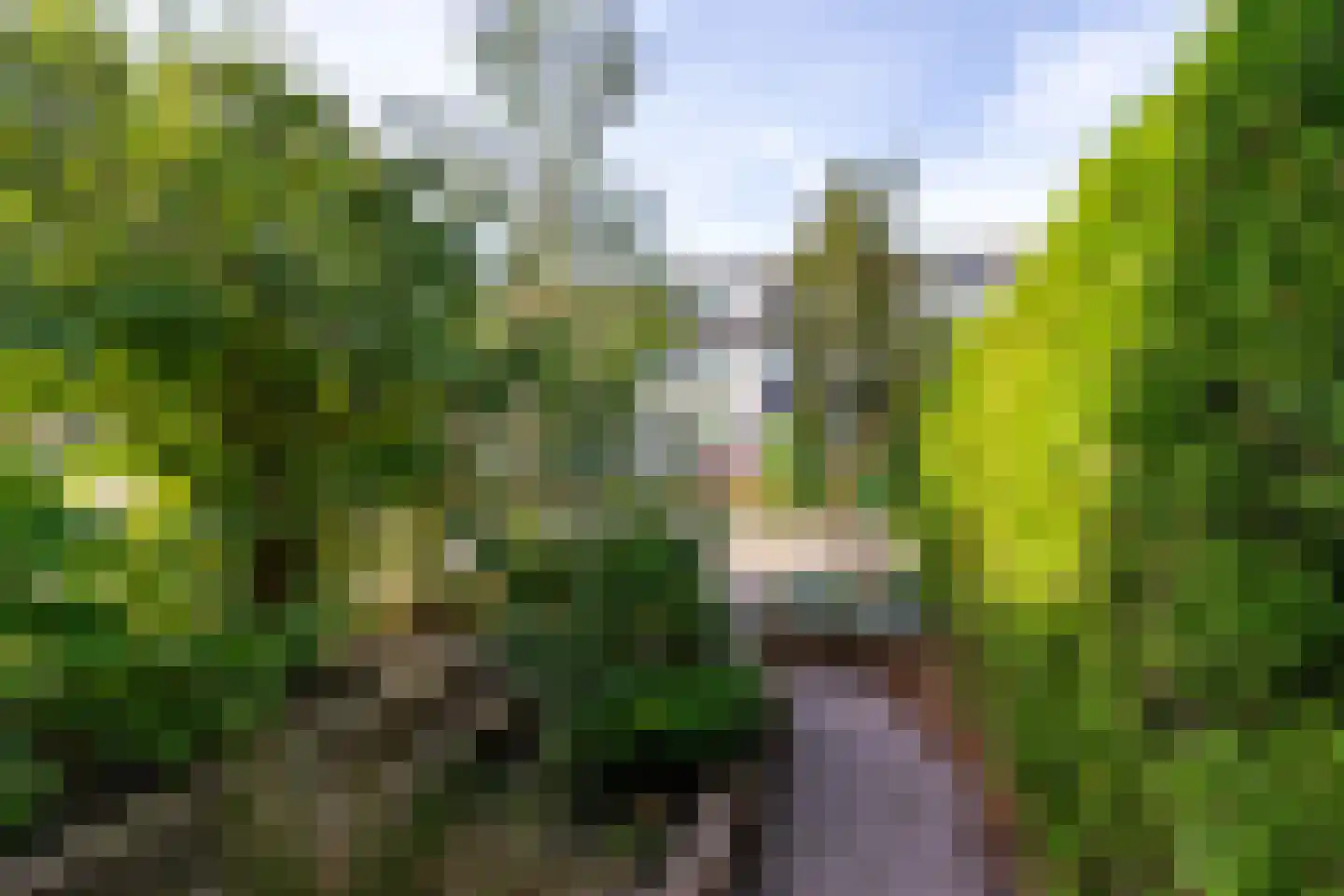 De Vries Lamstraat 14 Groningen thumbnail 23