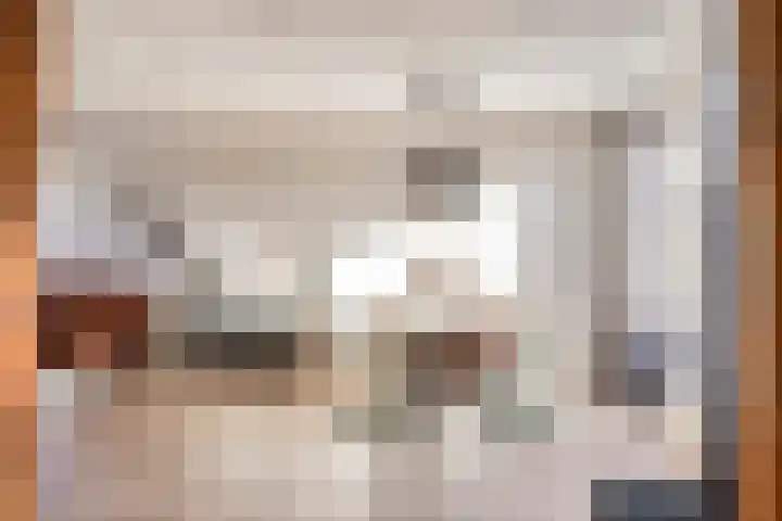 De Vriesstraat 11 Elst thumbnail 12