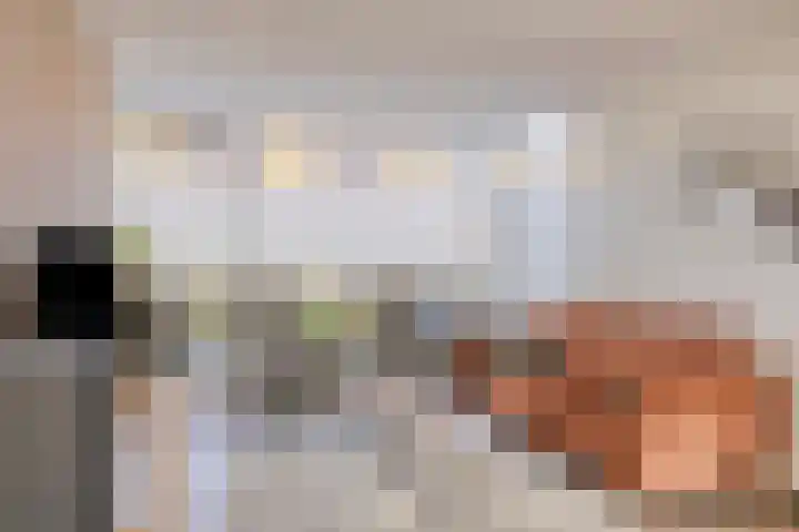 De Vriesstraat 11 Elst thumbnail 14