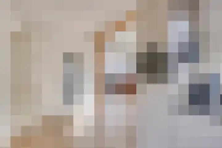 De Vriesstraat 11 Elst thumbnail 22