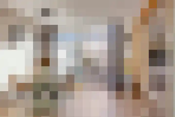 De Vriesstraat 11 Elst thumbnail 23