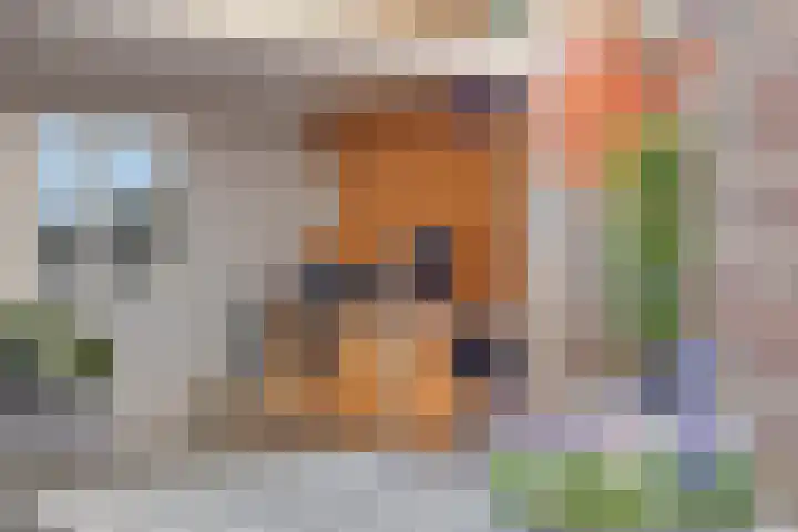 De Vriesstraat 11 Elst thumbnail 25