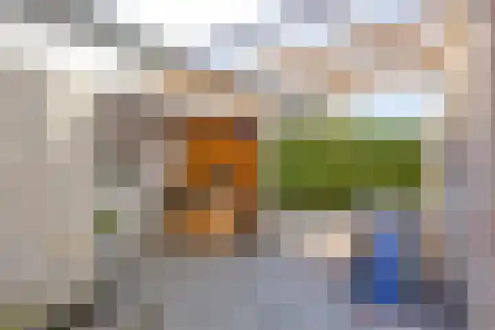 De Vriesstraat 11 Elst thumbnail 26