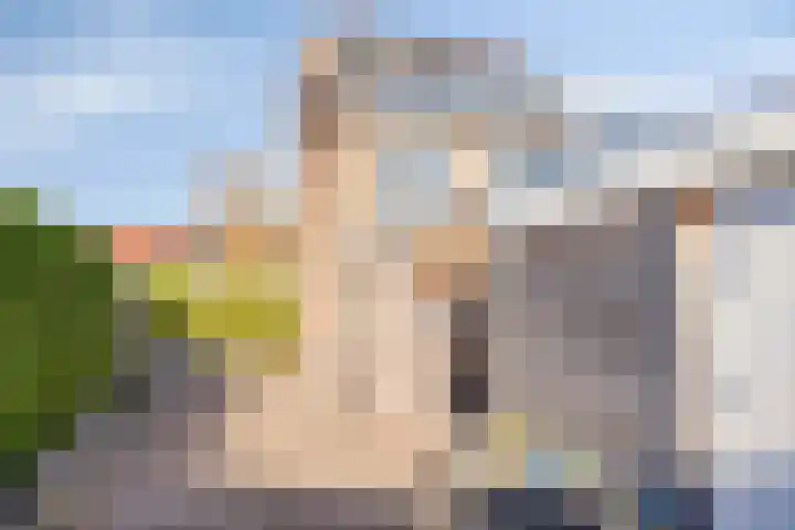 De Vriesstraat 11 Elst thumbnail 28