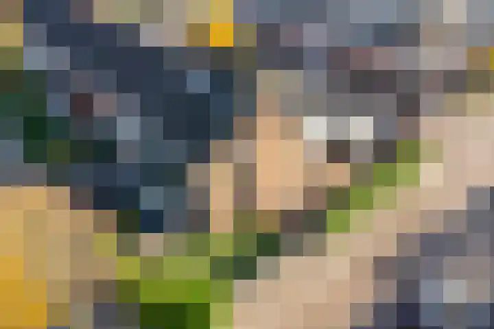 De Vriesstraat 11 Elst thumbnail 29