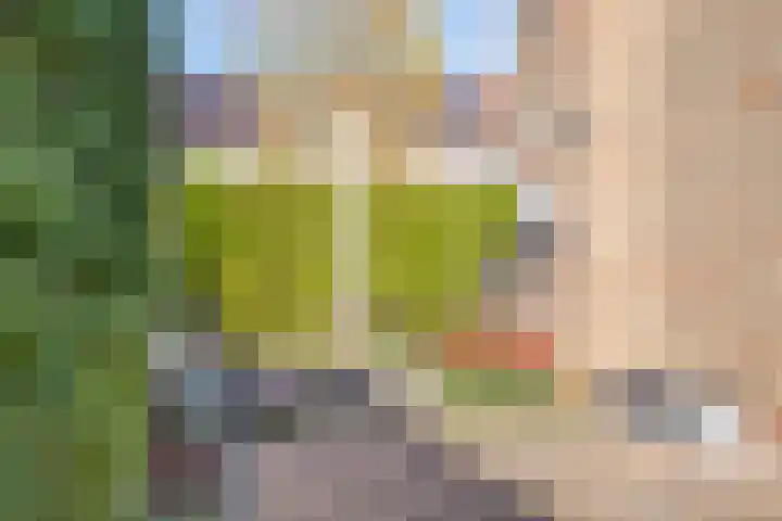 De Vriesstraat 11 Elst thumbnail 32
