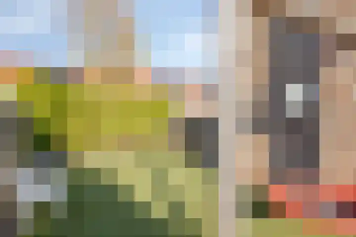 De Vriesstraat 11 Elst thumbnail 33