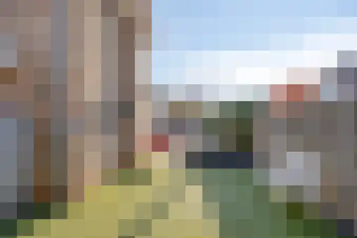 De Vriesstraat 11 Elst thumbnail 34