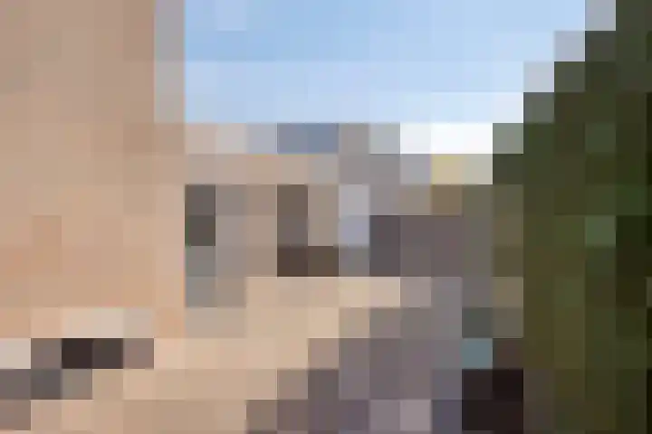 De Vriesstraat 11 Elst thumbnail 35