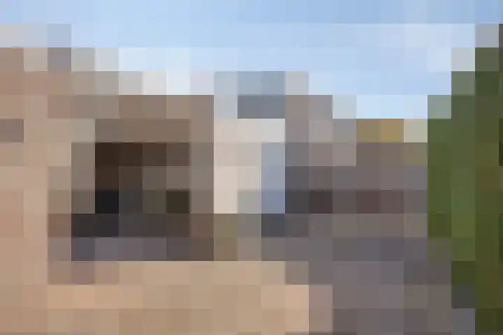 De Vriesstraat 11 Elst thumbnail 36