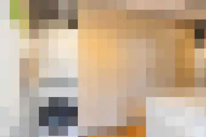 De Vriesstraat 11 Elst thumbnail 38