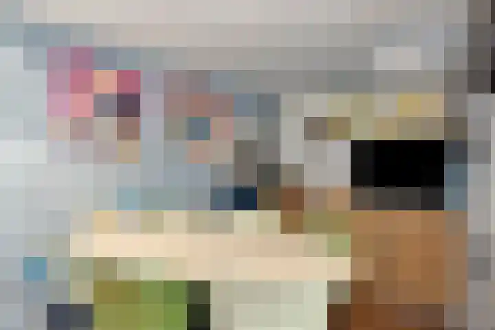 De Vriesstraat 11 Elst thumbnail 39