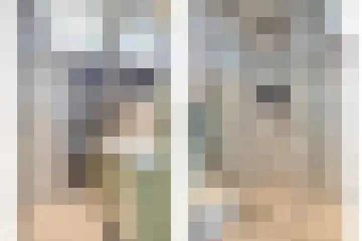 De Vriesstraat 11 Elst thumbnail 4