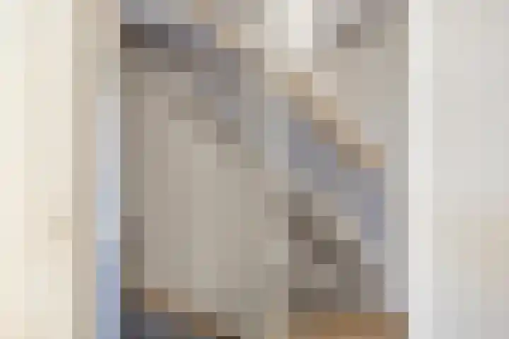 De Vriesstraat 11 Elst thumbnail 42