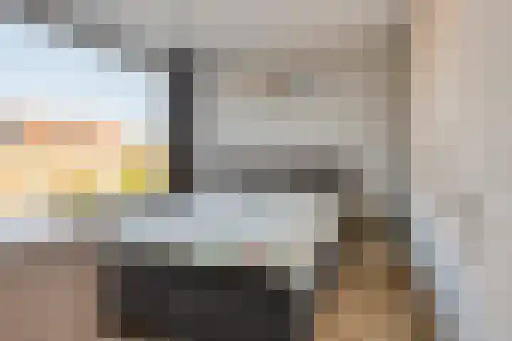 De Vriesstraat 11 Elst thumbnail 47