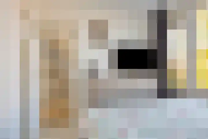 De Vriesstraat 11 Elst thumbnail 48
