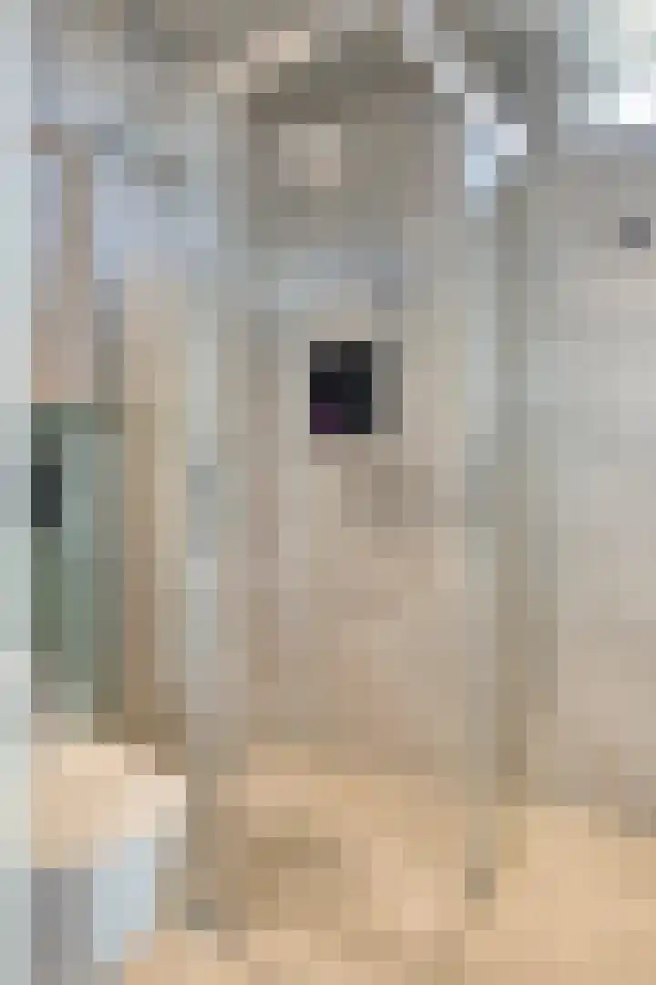 De Vriesstraat 11 Elst thumbnail 49