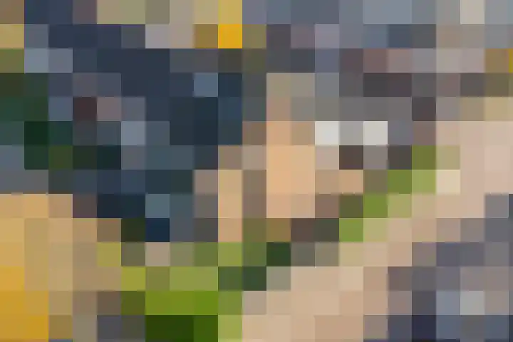 De Vriesstraat 11 Elst thumbnail 5