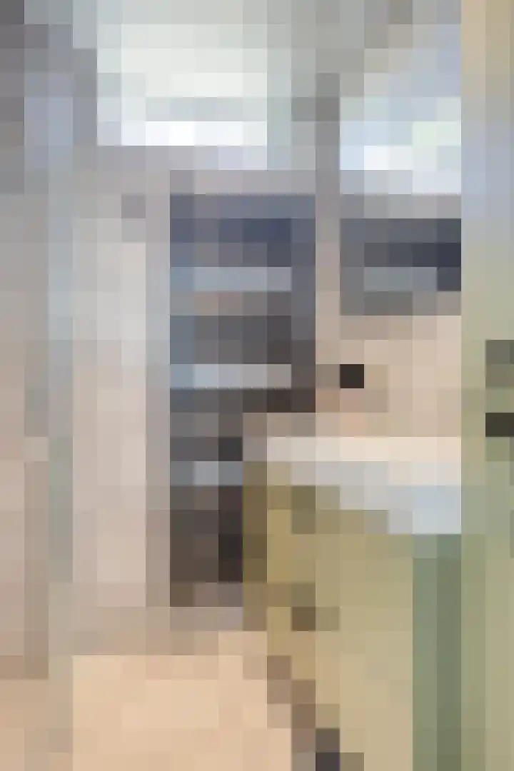De Vriesstraat 11 Elst thumbnail 51